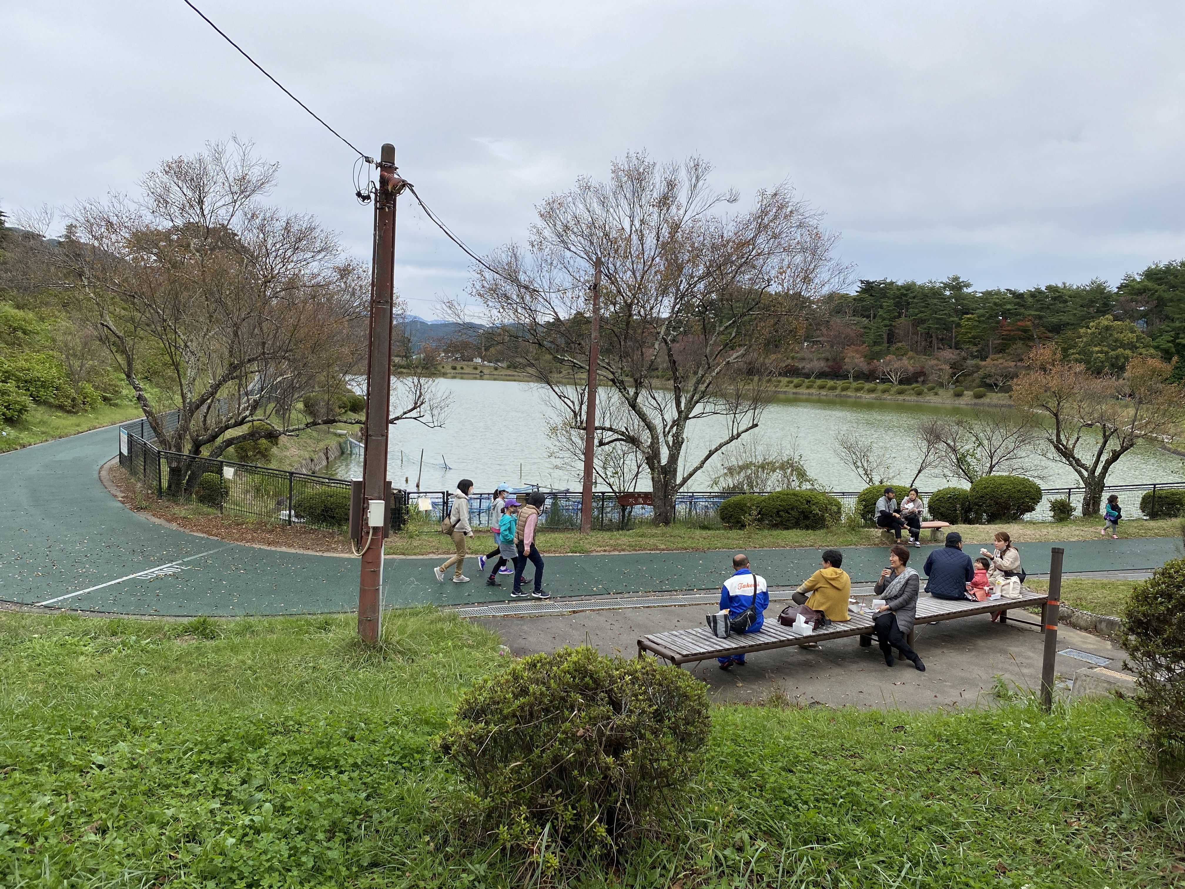 池のほとりのベンチ