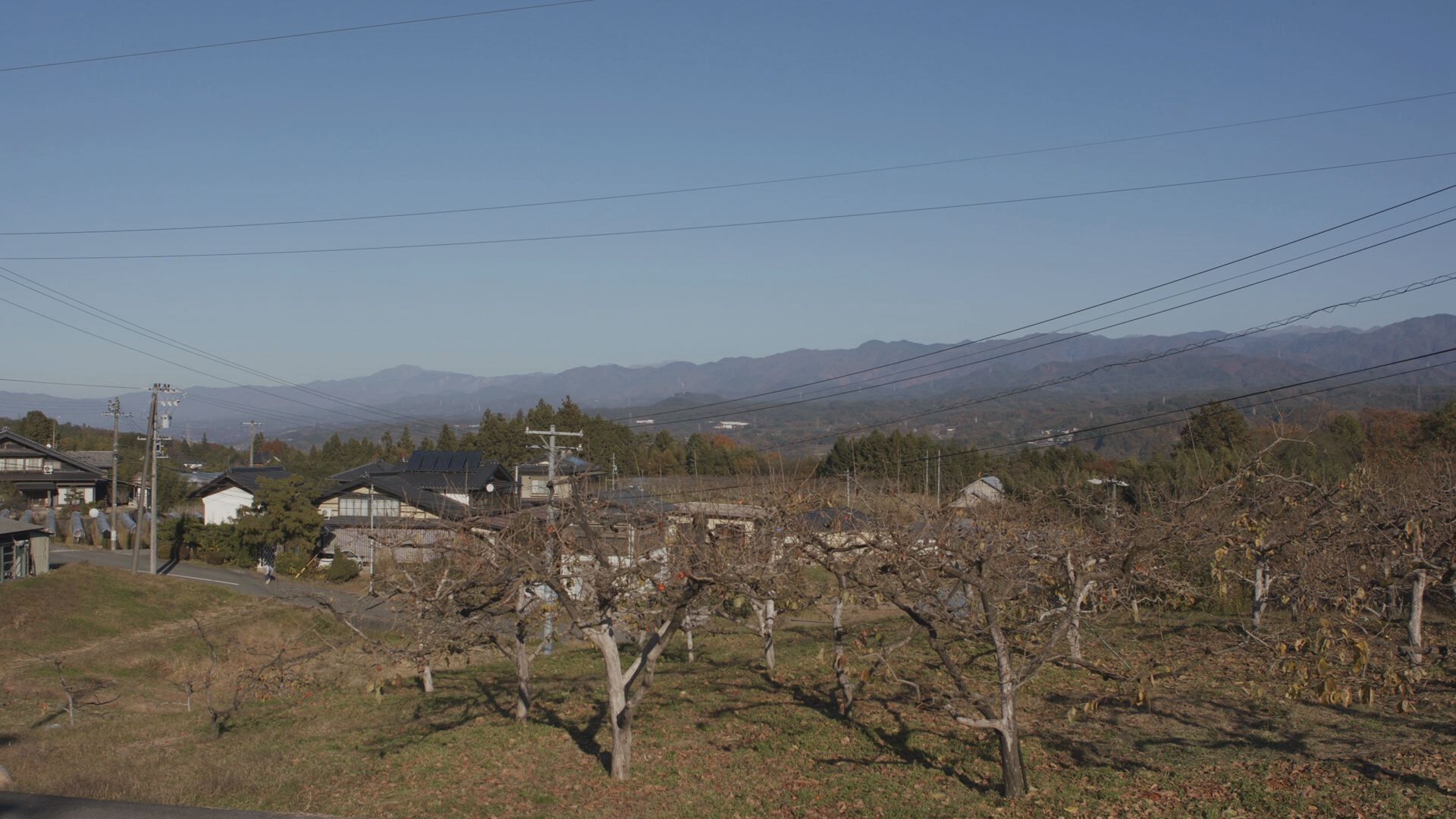 下條村の風景