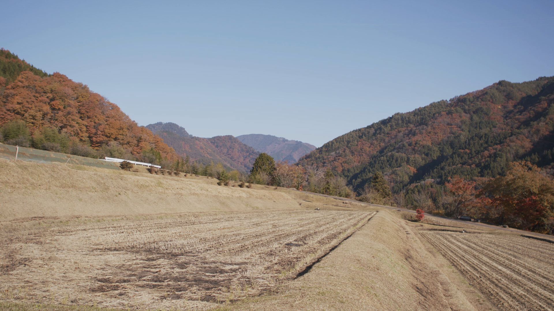 生まれ育った木曽地域でひととのつながりを大切に